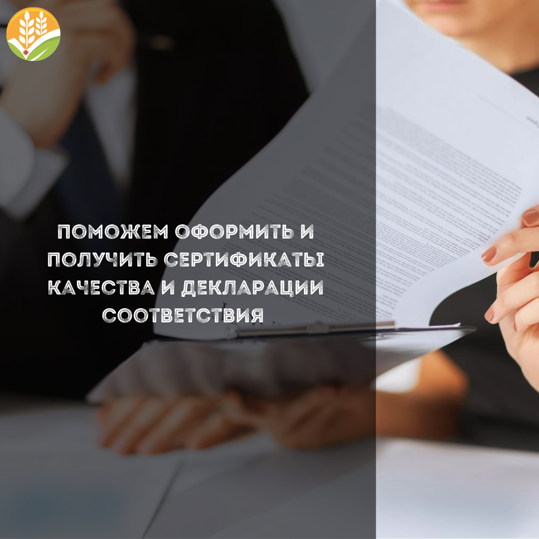 сертификат (1).png