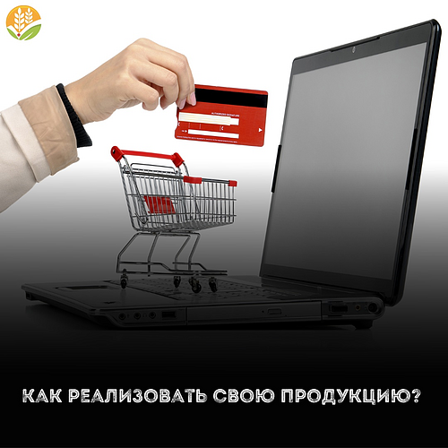 image (33).png