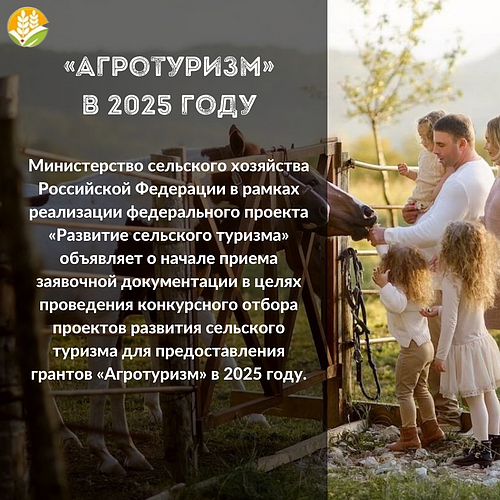 image (19).png